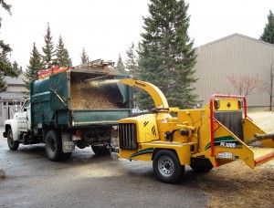 BVT Truck and Chipper Clean-up 01-04